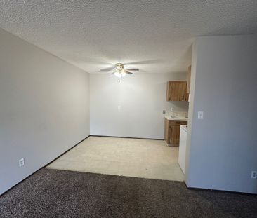 NO STAIRS!! Spacious Well Maintained Building 2 Bed, 1 Bath - Photo 6