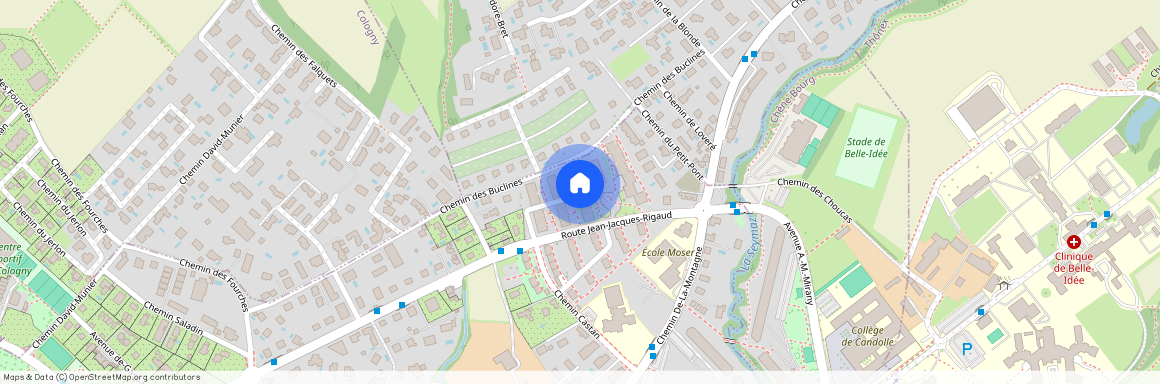 Chemin de l'Armoise 9, 1224 Chêne-Bougeries