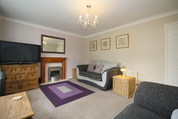 4 bedroom house share to rent - Photo 1