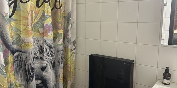 STUDIO IN ZURICH – DISTRICT 1, FURNISHED, TEMPORARY - Photo 3