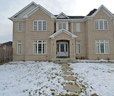 For Lease - 1bdr119 Alamo Heights Drive, Richmond Hill, Ontario - Photo 4