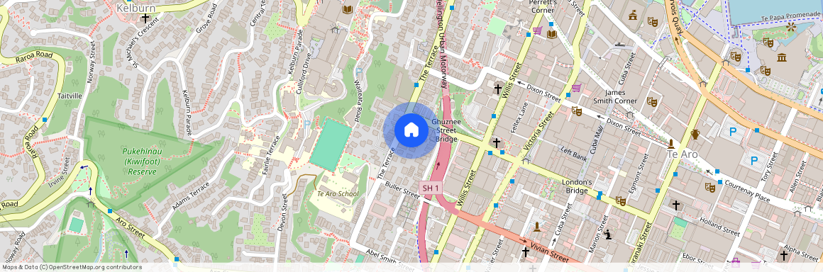 11/313 The Terrace, Wellington, Te Aro