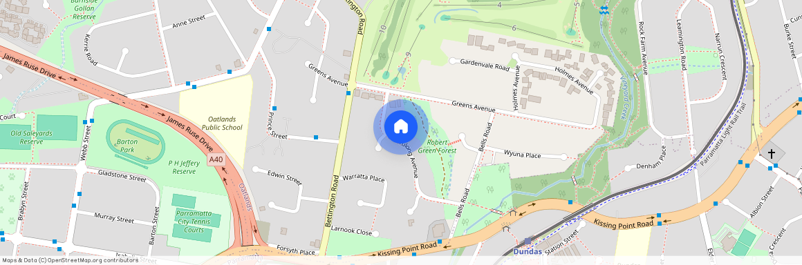 20 Tulong Avenue, NSW 2117, Oatlands