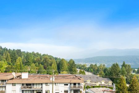 1 Bed Condo | Port Moody | Views | Internet Included. - Photo 4