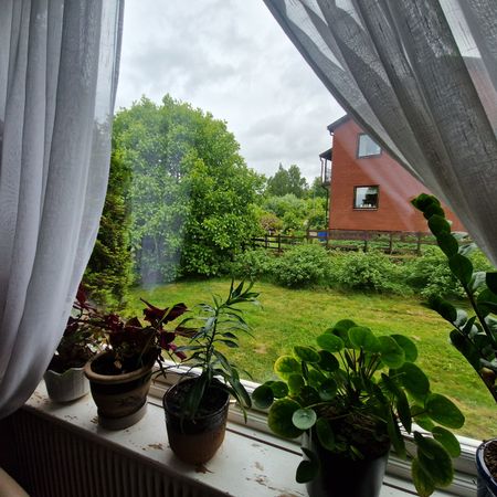 Bangatan, Motala - Foto 5