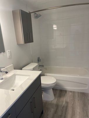 Mid-rise apartment building in Centretown - One-month free rent on 12-month lease! - Photo 1