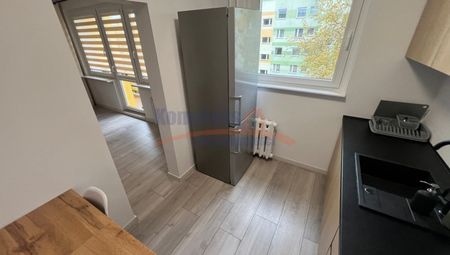 Gumieńce, ul. Hrubieszowska, Szczecin - Zdjęcie 5