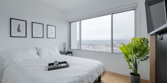 Ilo+ St-Jean 3 ½ Entièrement Meublé à Louer Saint-Jean-Baptiste Février 2026 - Photo 3