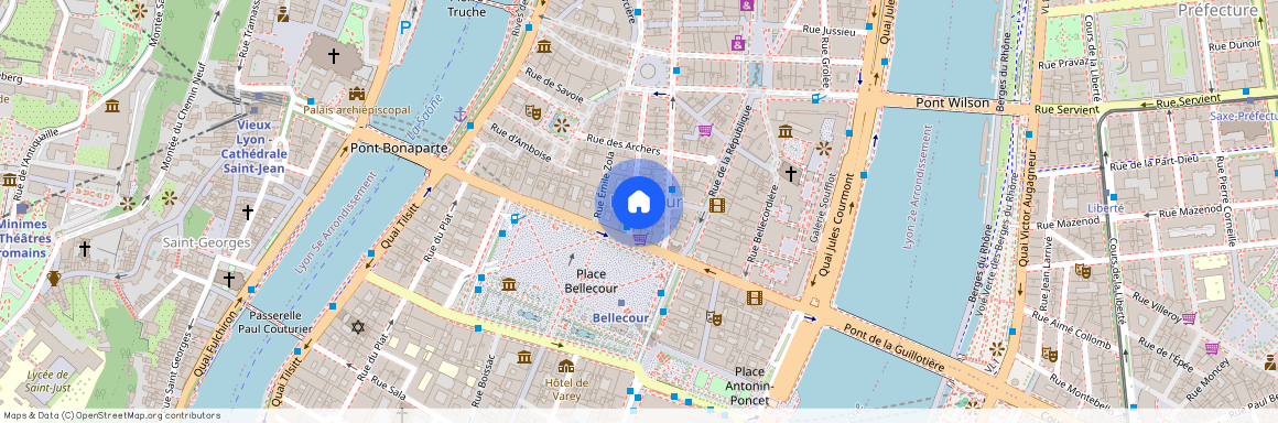 27 RUE GASPARIN, LYON 2EME ARRONDISSEMENT Bellecour-a Gourjus