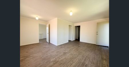 Freshly Renovated Family Home in a Quiet Cul-de-Sac - Photo 3