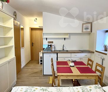 Pronájem bytu 1+kk 25 m² - Photo 3