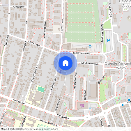 ul. Brzozowa 13a, Bogucice, Katowice, śląskie