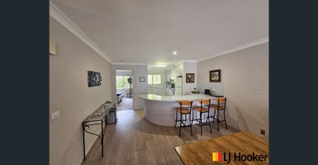 EVERYDAY IS A HOLIDAY! - Photo 2