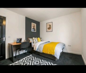Room in a Shared House, Rosa Road, S10 - Photo 6
