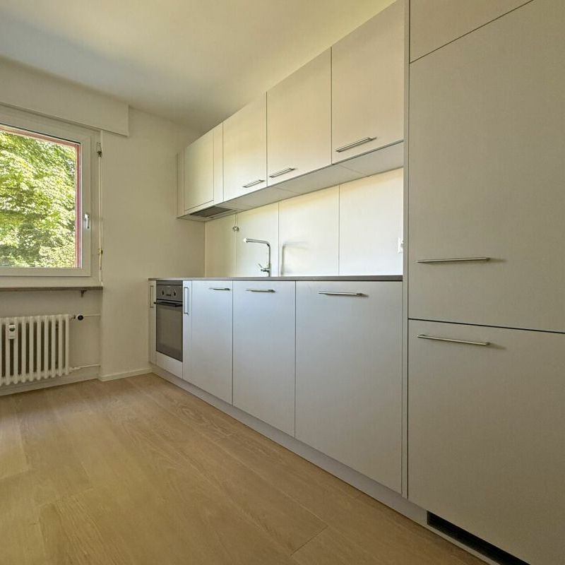 Erstvermietung nach Sanierung! 2.5-Zimmerwohnung in Muttenz - Photo 1