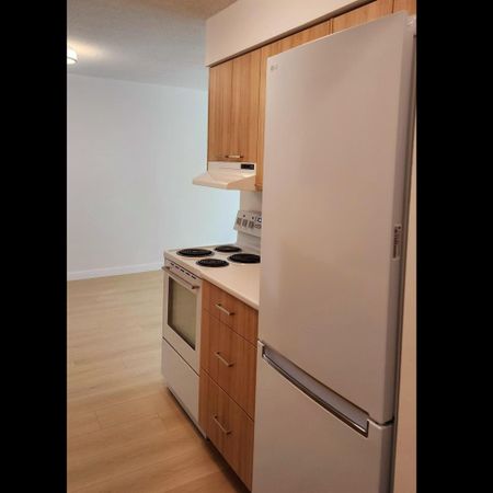 Fairview court Holdings - Photo 3