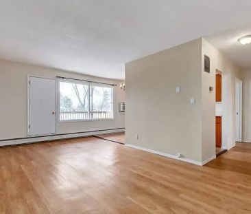 1 Bedroom - Photo 3