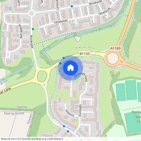 Sycamore Field, Harlow