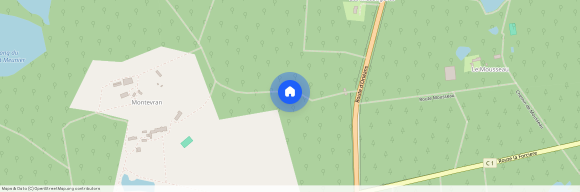 41600, Chaumont-Sur-Tharonne