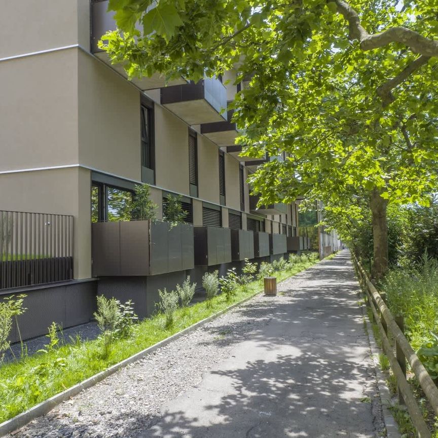 2.5 Zimmer, 56 m², 1. Stock - Photo 1