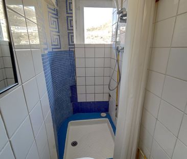 Location Appartement 1 pièce 19m² GRENOBLE 38000 - Photo 6