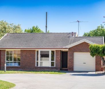 Wonderful Wood! - Photo 2