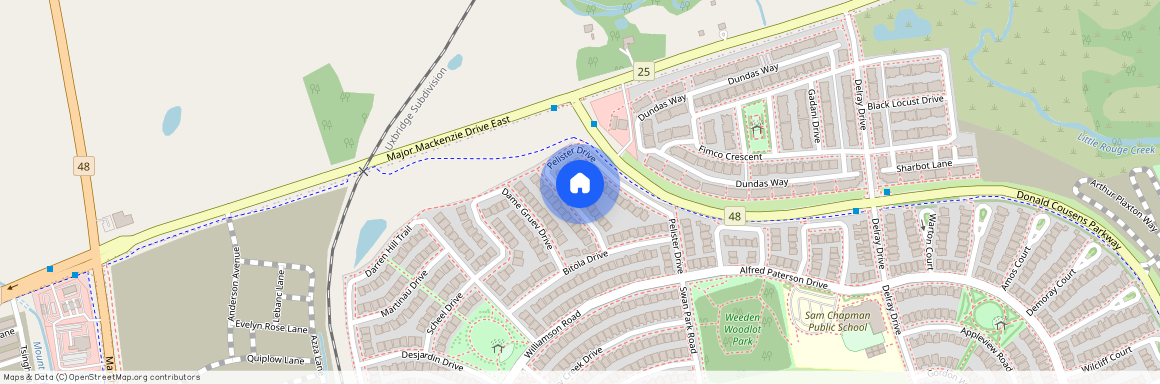 17 Pelister Drive Unit# (Basement), Markham