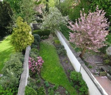 Wohnung zur Miete in Krefeld - Photo 2