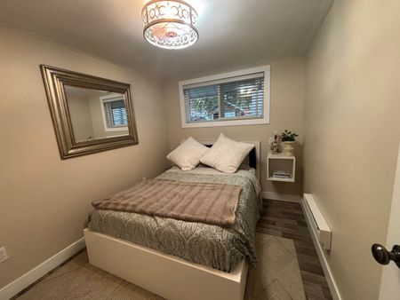 Steps to the Beach at Cultus Lake - Photo 4