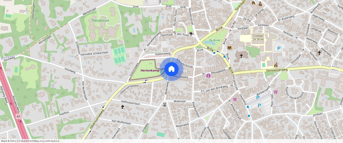 Burgemeester van Nispen van Sevenaerstraat 28, 1251 KH, LAREN