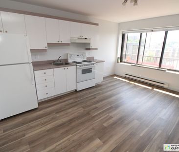 2 1/2-20, rue Saint-Jean, St-Jean-Baptiste à louer - Photo 3