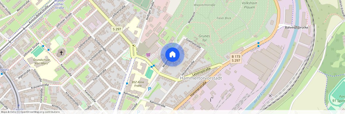 Wieprechtstraße 56, 08523 Plauen