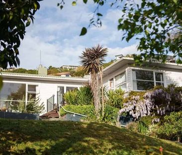 Sunny Elevated Home Near Tahunanui Beach – Privacy, Views and Chara... - Photo 5