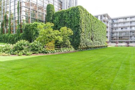 Warszawa, Mokotów, Biały Kamień - Photo 2