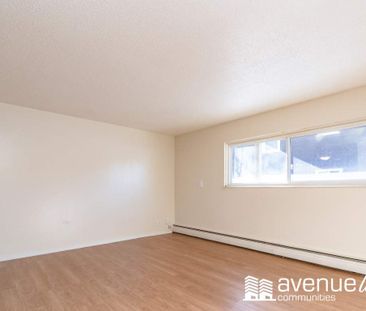 Premier Suite - 2 Bedroom - Photo 6