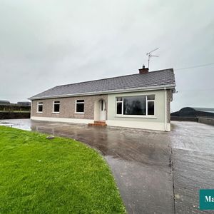 98 Ballygittle Road - Photo 2