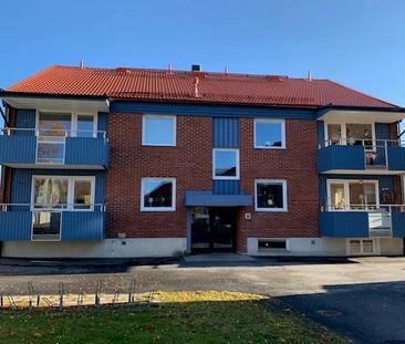 Korsgatan, Umeå - Foto 2