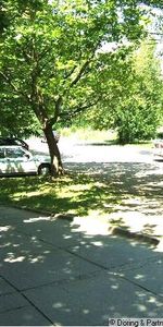 4-Raum-Whg. im Hochparterre mit Balkon und PKW-Stellplatz ! - Photo 3