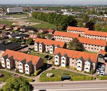 Thøger Reenbergs Vej, 2, ST.TH., 8800, Viborg - Foto 5