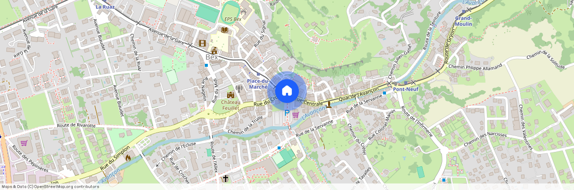 Chemin du Perruet 43 1880 Bex