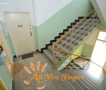Pronájem bytu 1+kk 30 m² - Photo 2
