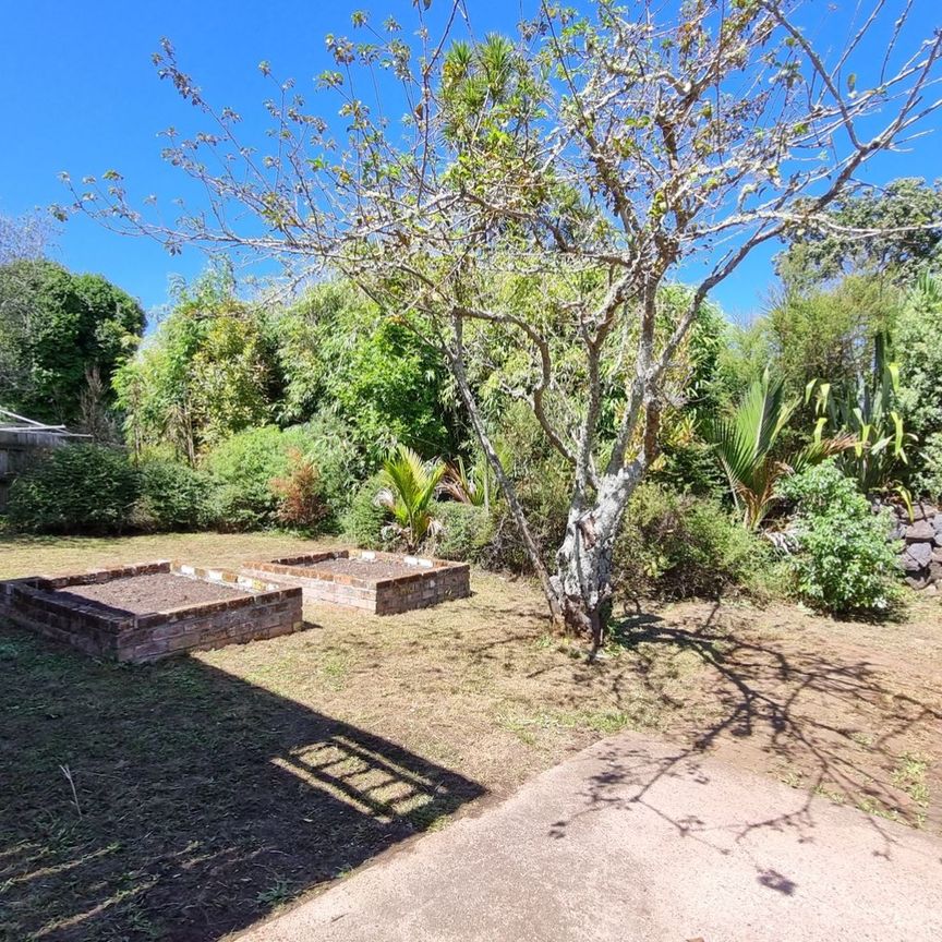 Stunning Neat! - Photo 1