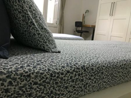 Carrer de Mallorca, Barcelona, Catalonia 08037 - Photo 3