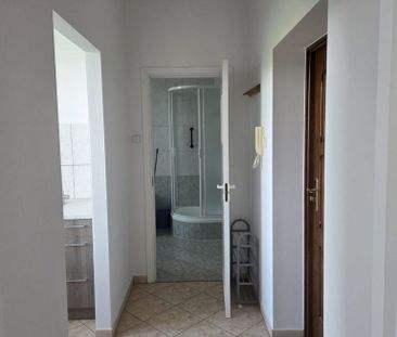 Mieszkanie | Wynajem - Zdjęcie 4