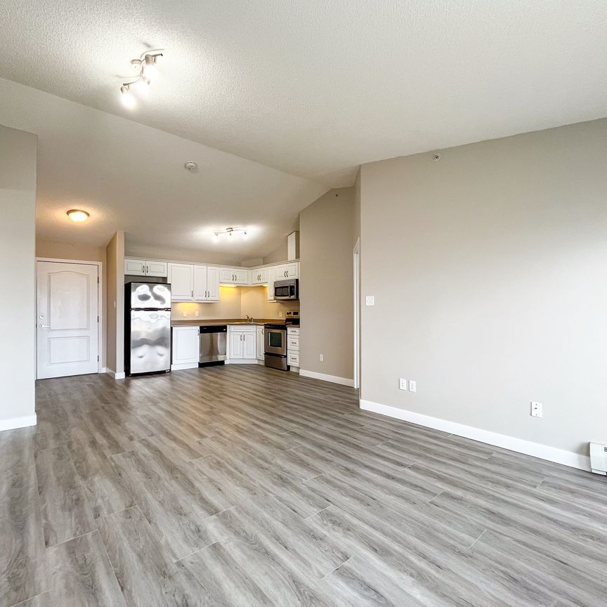 2 Bed Apartment | South Terwillegar | Fresh Updates | Gas & Water Included - Photo 1