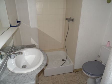 Location Appartement 1 pièce 17m² ORLEANS 45000 - Photo 4