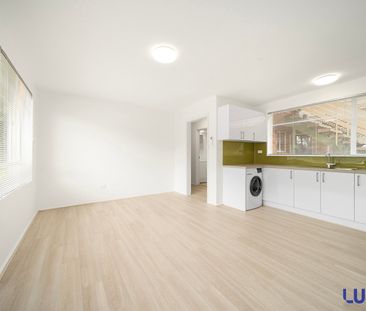 10/43 Gardiner Street, Downer ACT 2602 - Apartment For Rent | Domain - Photo 1