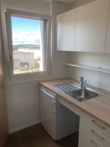 4.5 Zimmer, 167 m², 3. Stock - Foto 3