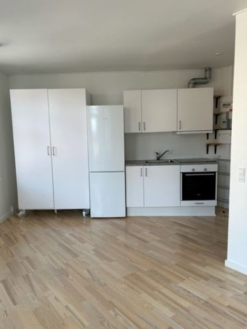 1-værelses studiebolig - Photo 4