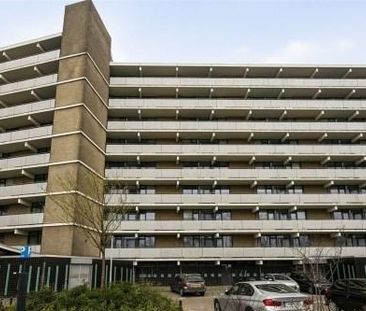 Cruquiuslaan 0ong, 2332 Leiden, Nederland - Foto 1